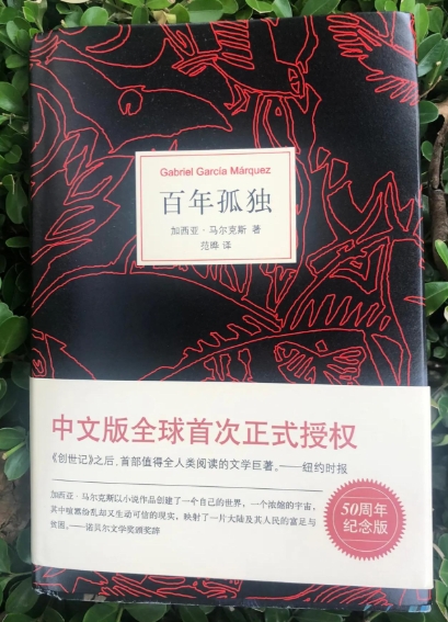 当我的窗帘像蕾梅黛丝一样飞走：《百年孤独》给我的灵魂暴击